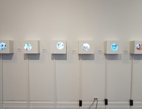 Artists in 2-D, 3-D, and Video